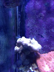 8618078777_6d9e8960ef_m.jpg