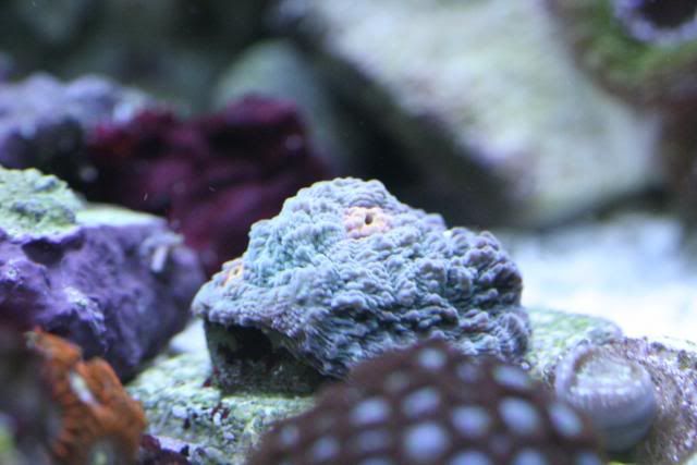 _MG_6066.jpg