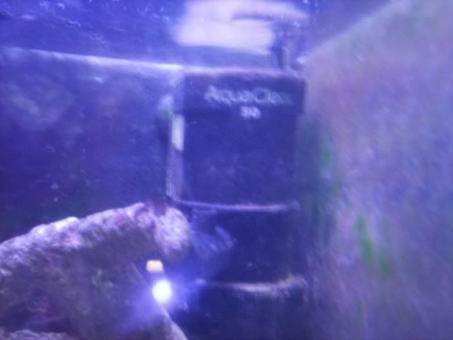 000_0384.jpg
