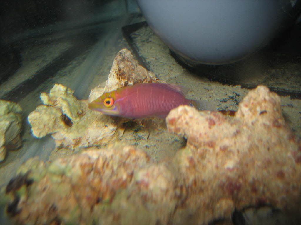 IMG_0463.jpg