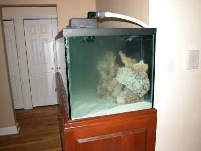 DSCN2598.jpg
