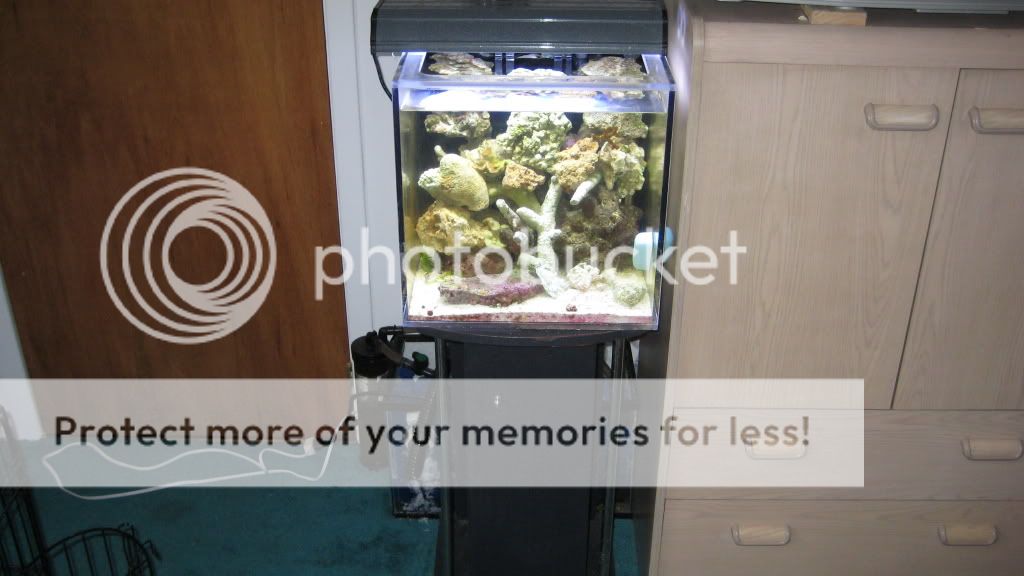 15gallontank003.jpg