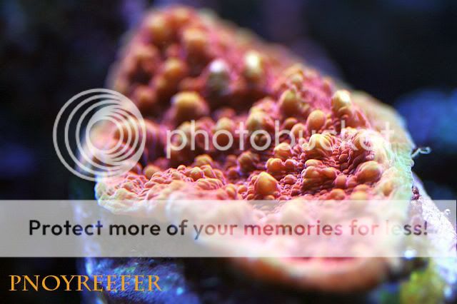 041copy.jpg