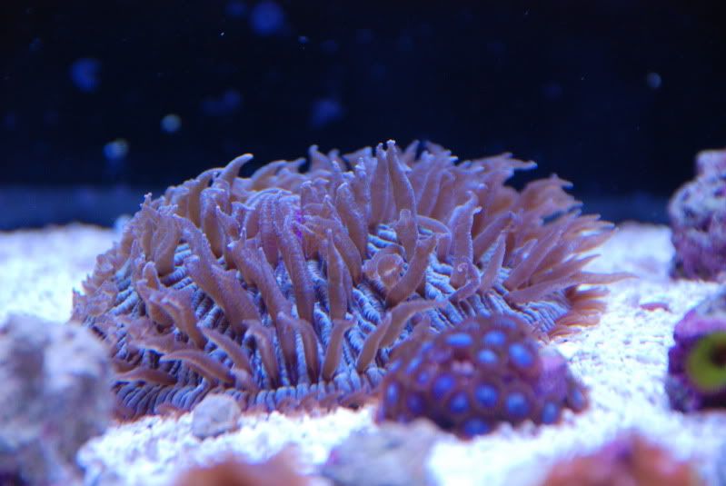 DSC_1321.jpg