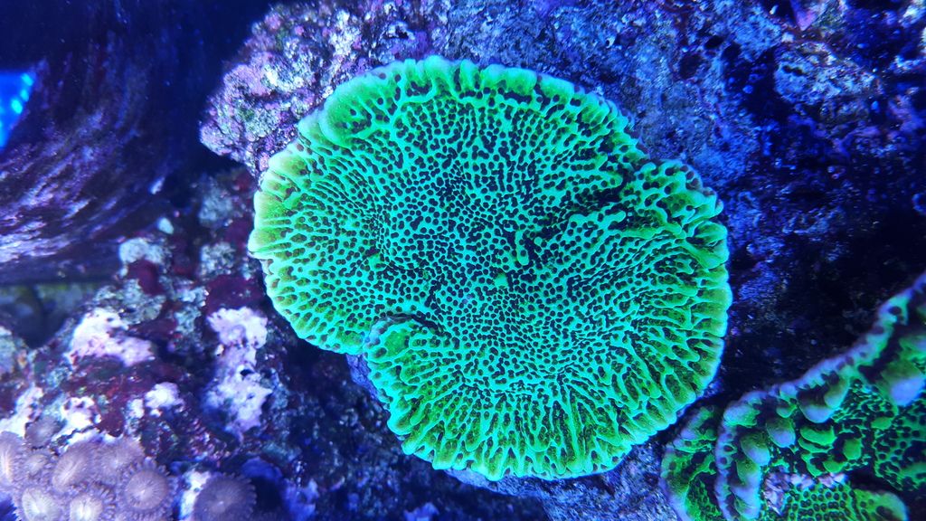 20160427_203654_zpsmy3v8eqw.jpg