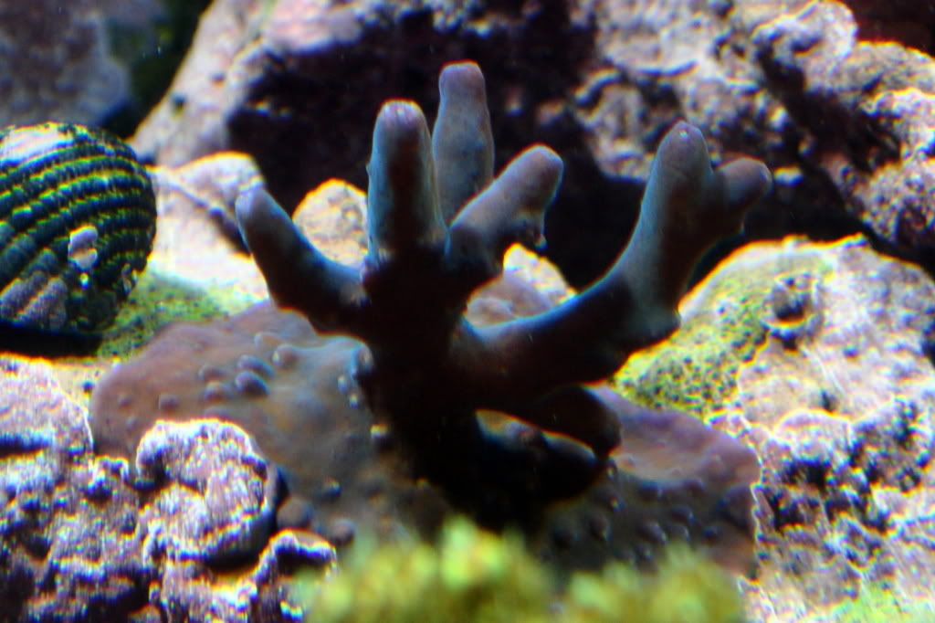 DSC_0367.jpg