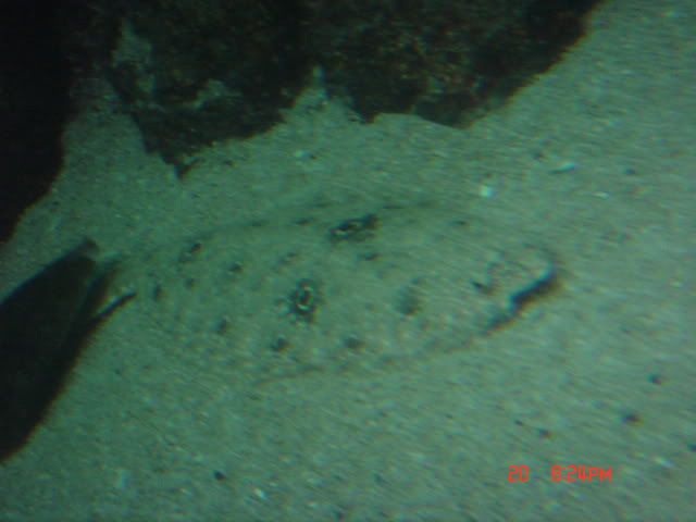 DSC01346.jpg