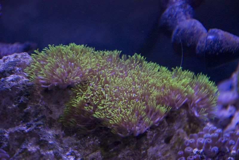DSC_4293.jpg