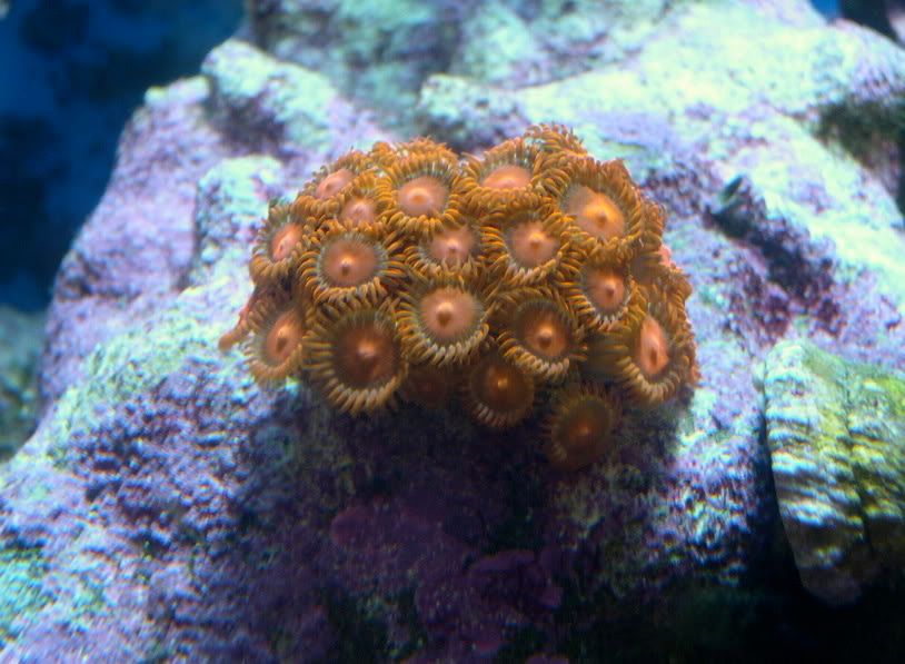 DSCN3497.jpg