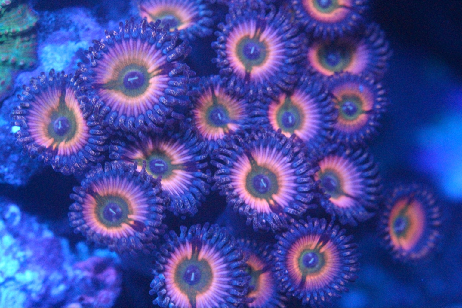 c712b5369038f26281c19e04bbd4cc41.jpg
