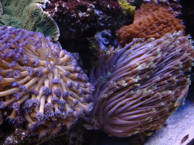DSC01234.jpg