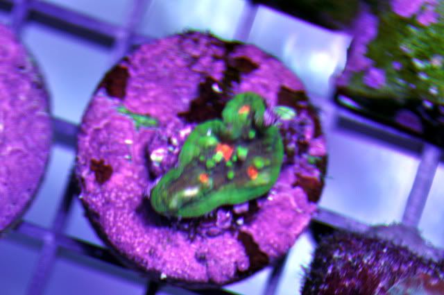 DSC_0677_edited.jpg