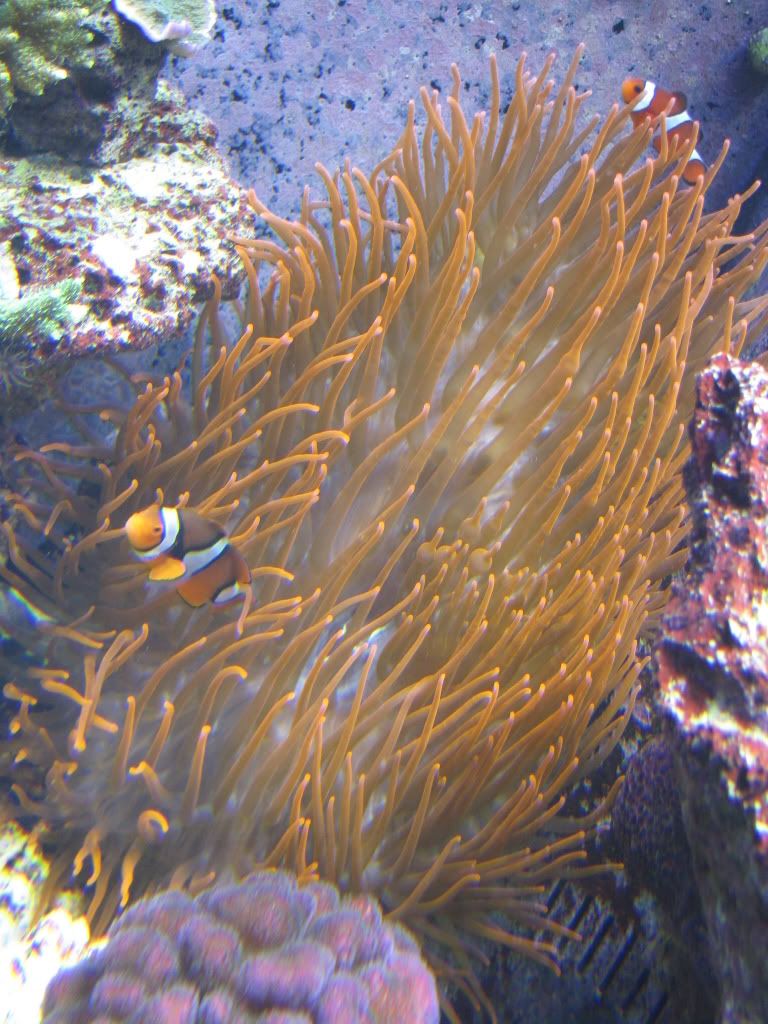 IMG_0263-1.jpg
