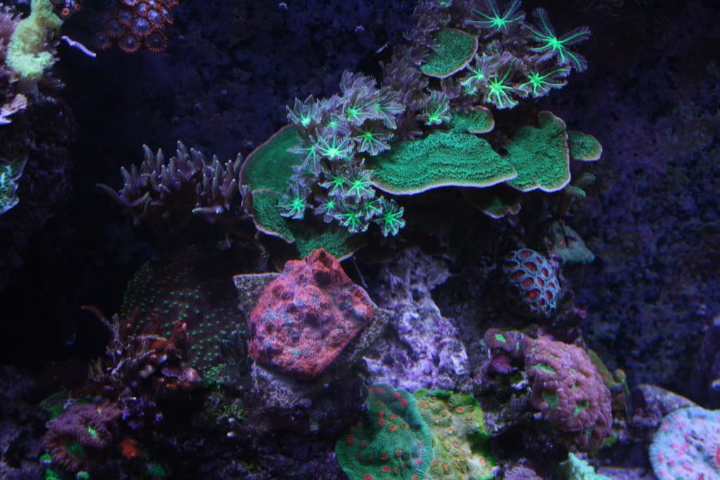 IMG_7877.jpg