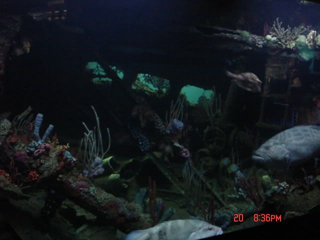DSC01386.jpg