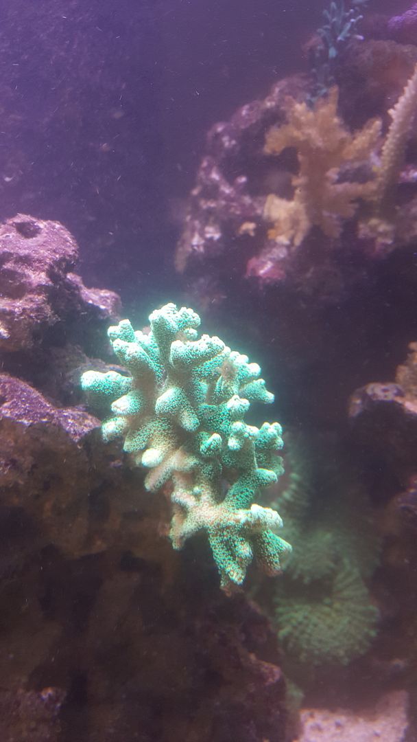 20150601_131044.jpg