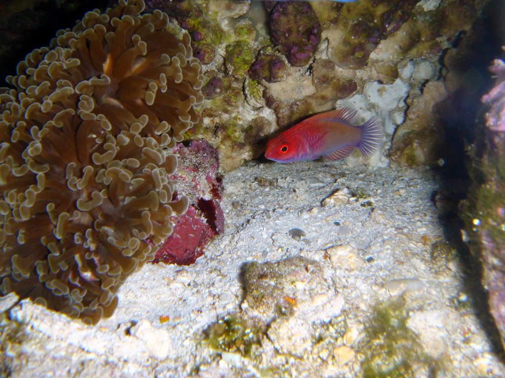 DSC02275_edited.jpg