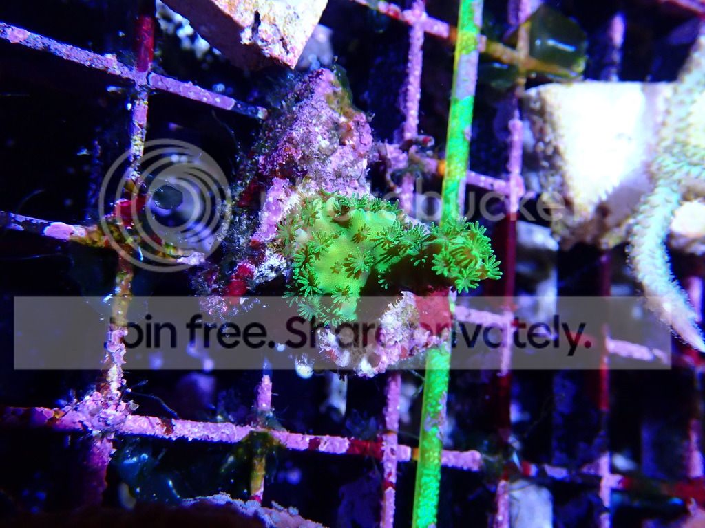 P8310292_zps6bcwsl51.jpg