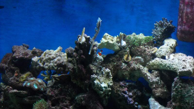 DSCN0834.jpg