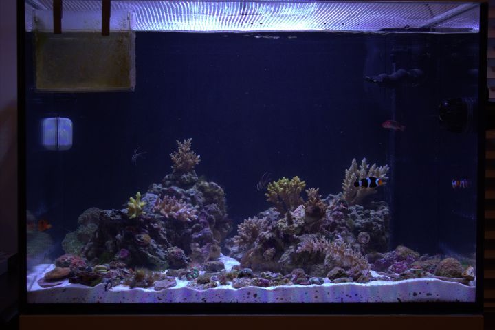 fts_zps5f47d160.jpg