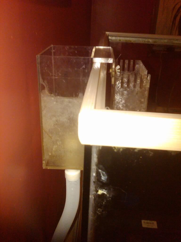 IMG00296-20091122-1842.jpg