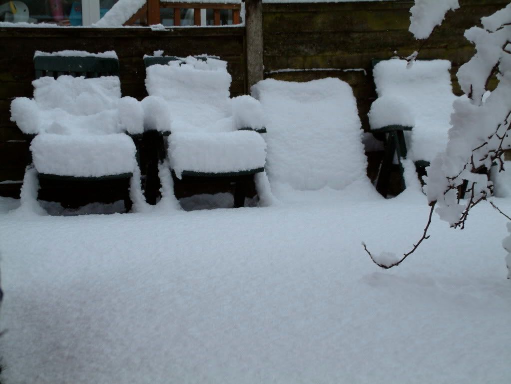 DSCF0004.jpg