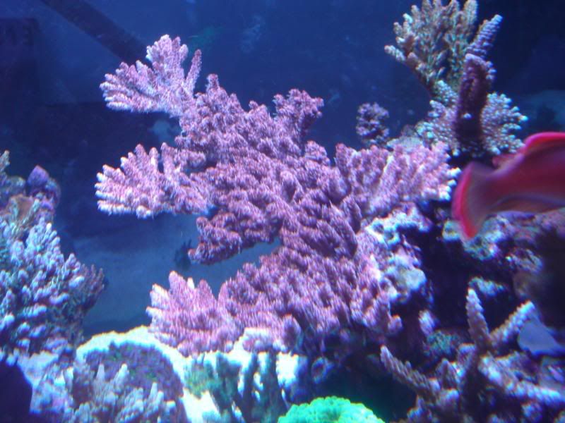 frags002.jpg