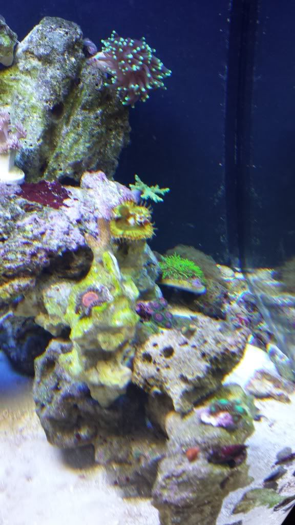 20131014_224837_zps015ef650.jpg