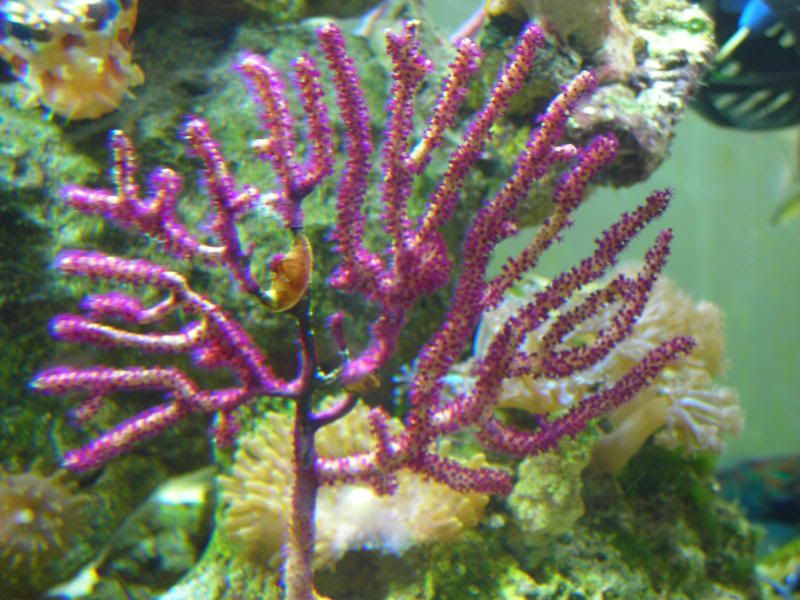 DSCN2196.jpg