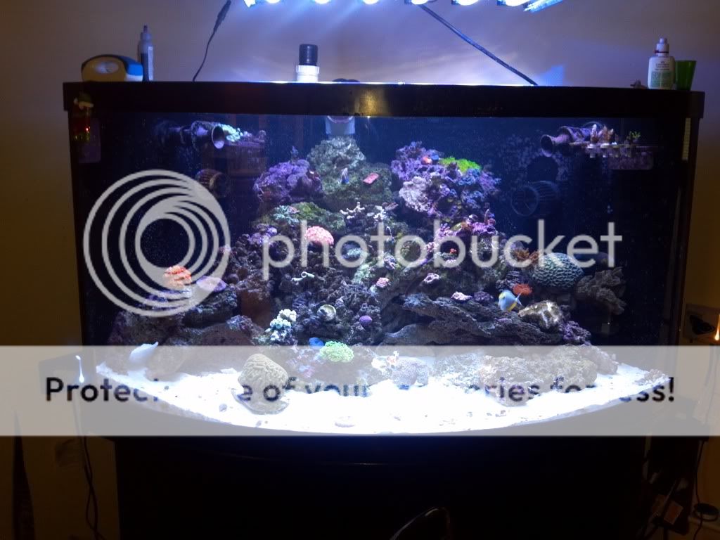 2011-12-07_13-39-19_774.jpg