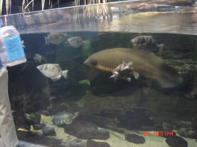 DSC01498.jpg