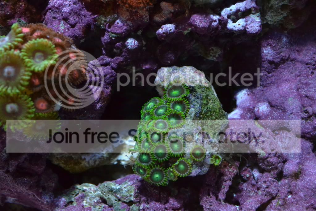 nanoforsale049.jpg