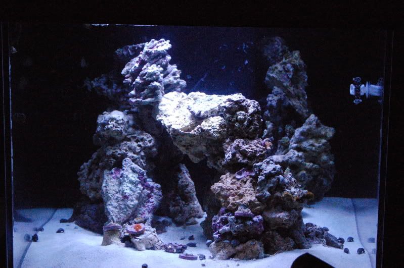 DSC_0204.jpg