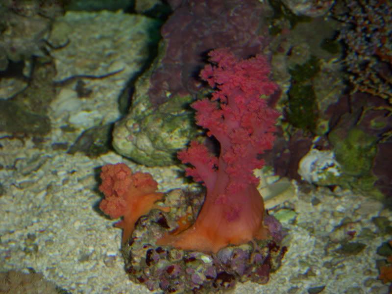 DSCN0393.jpg