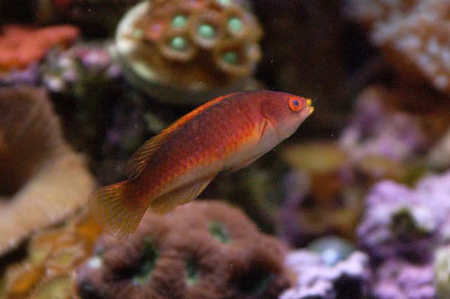 65g020.jpg