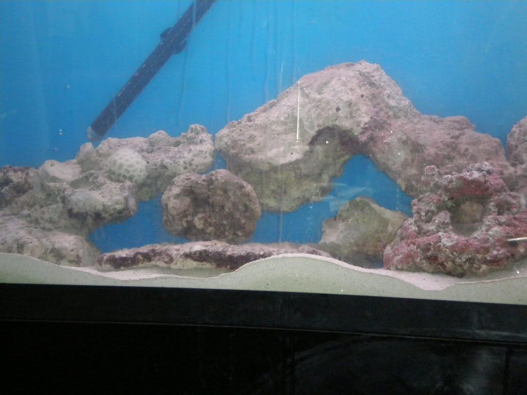 sono1059.jpg