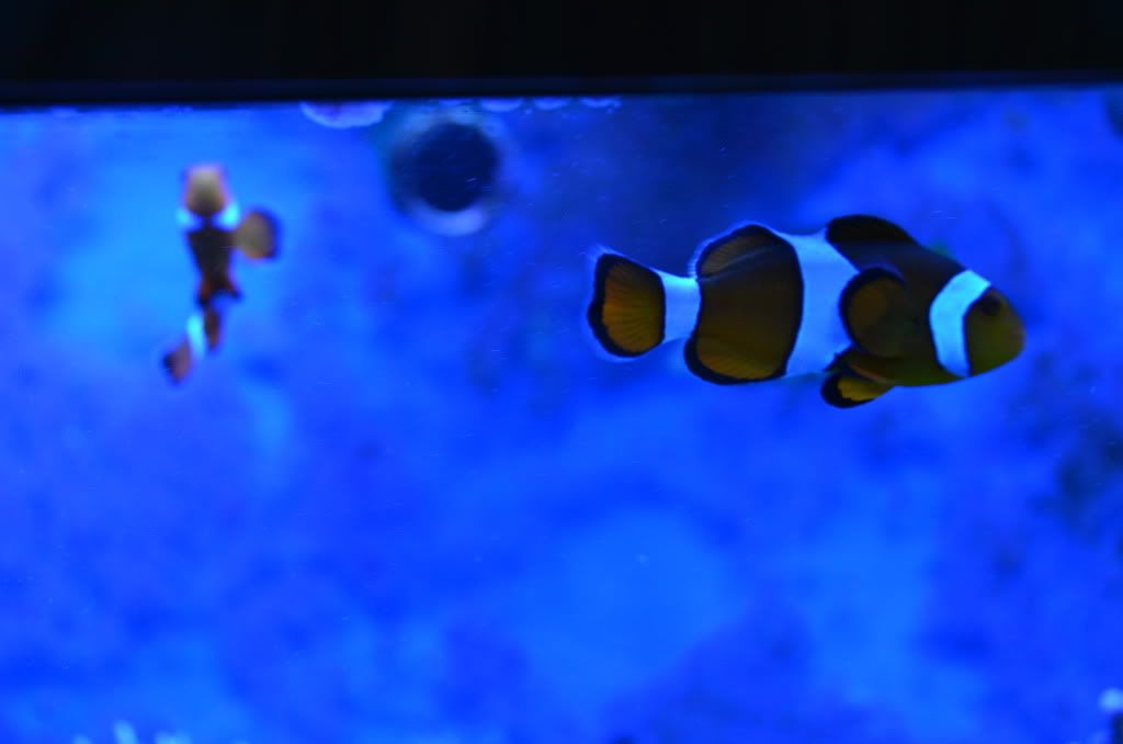 DSC_1830.jpg