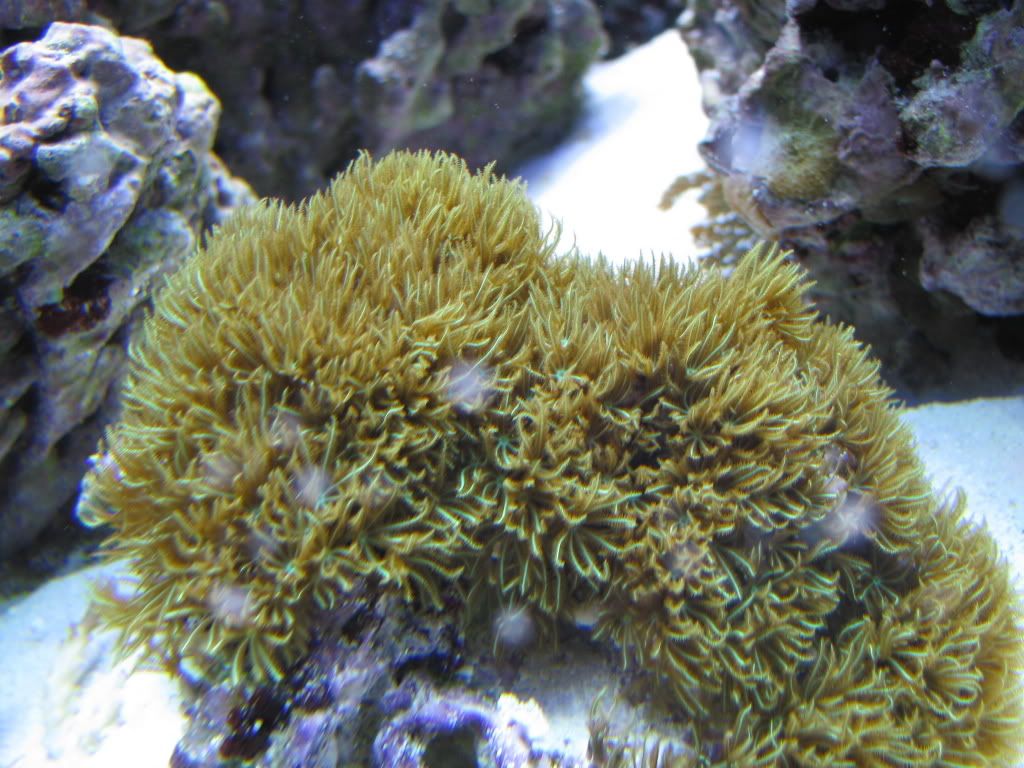 IMG_0816.jpg
