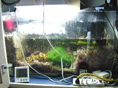 sump4.jpg