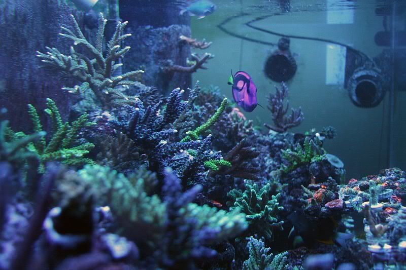 009-11.jpg