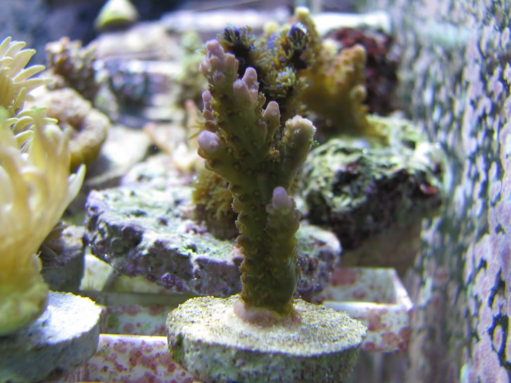 IMG_0882.jpg