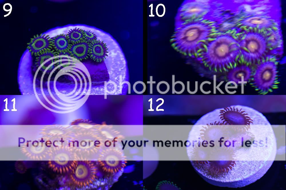 3_11.jpg