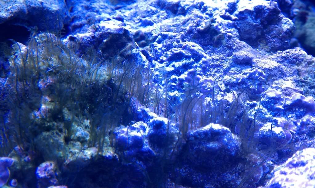 IMAG0974-1.jpg