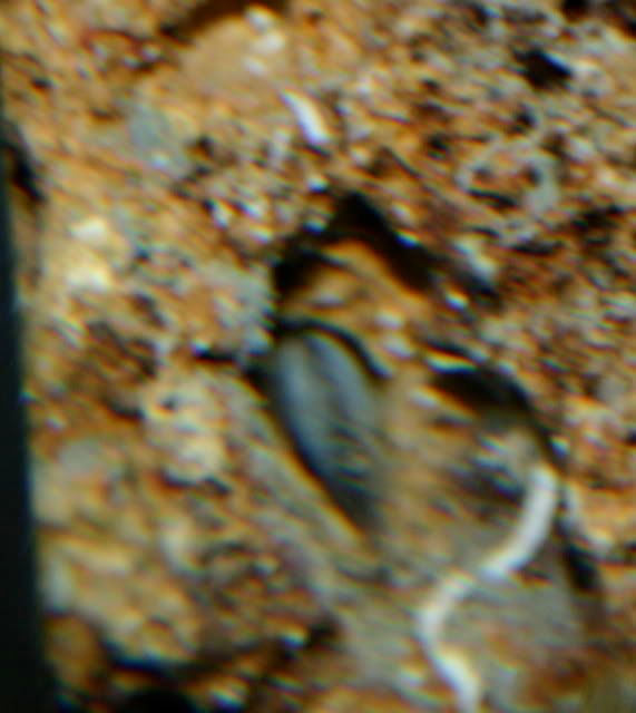 IMG_7961.jpg