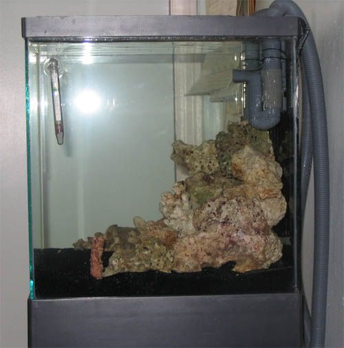 04.jpg