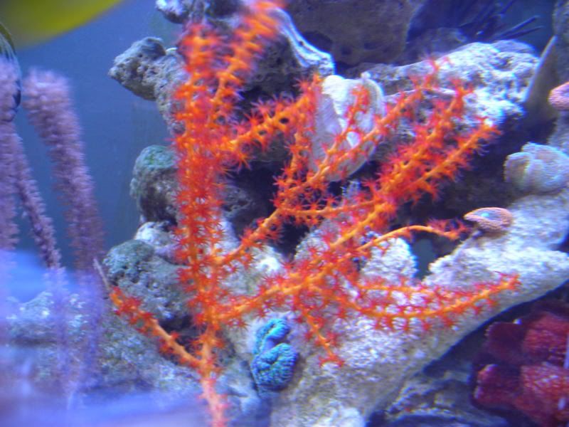 DSCN1844.jpg