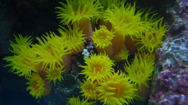 DSCN0810.jpg
