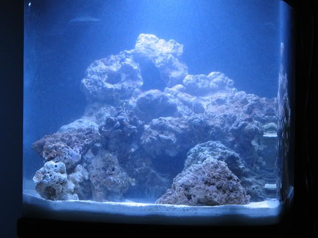 IMG_1055.jpg