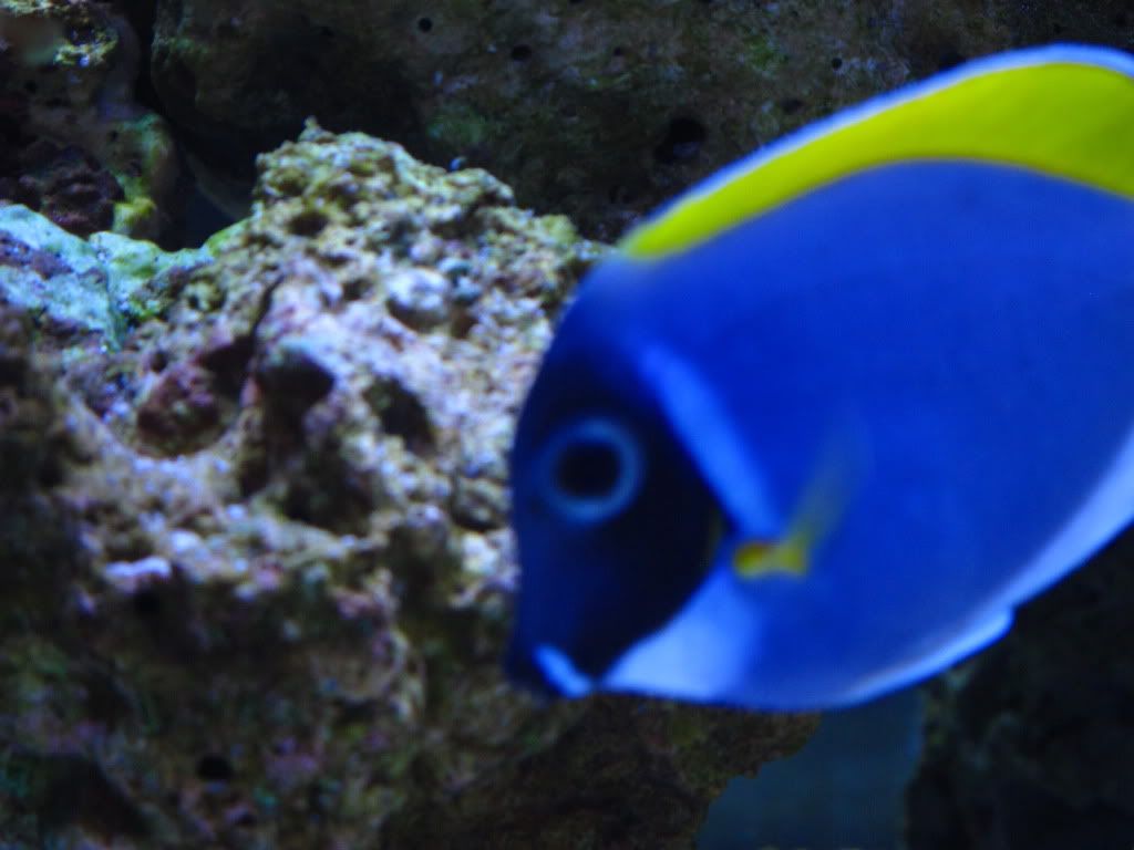 IMG_1508.jpg