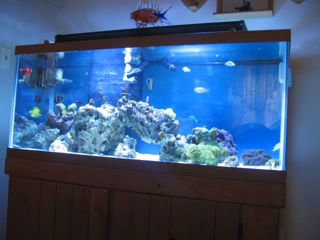 IMG_0038.jpg